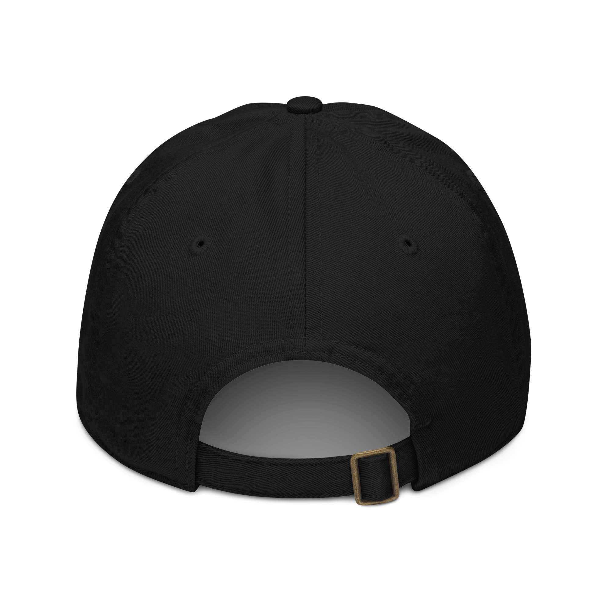 organic-baseball-cap-black-back-641c752d22c9c.jpg