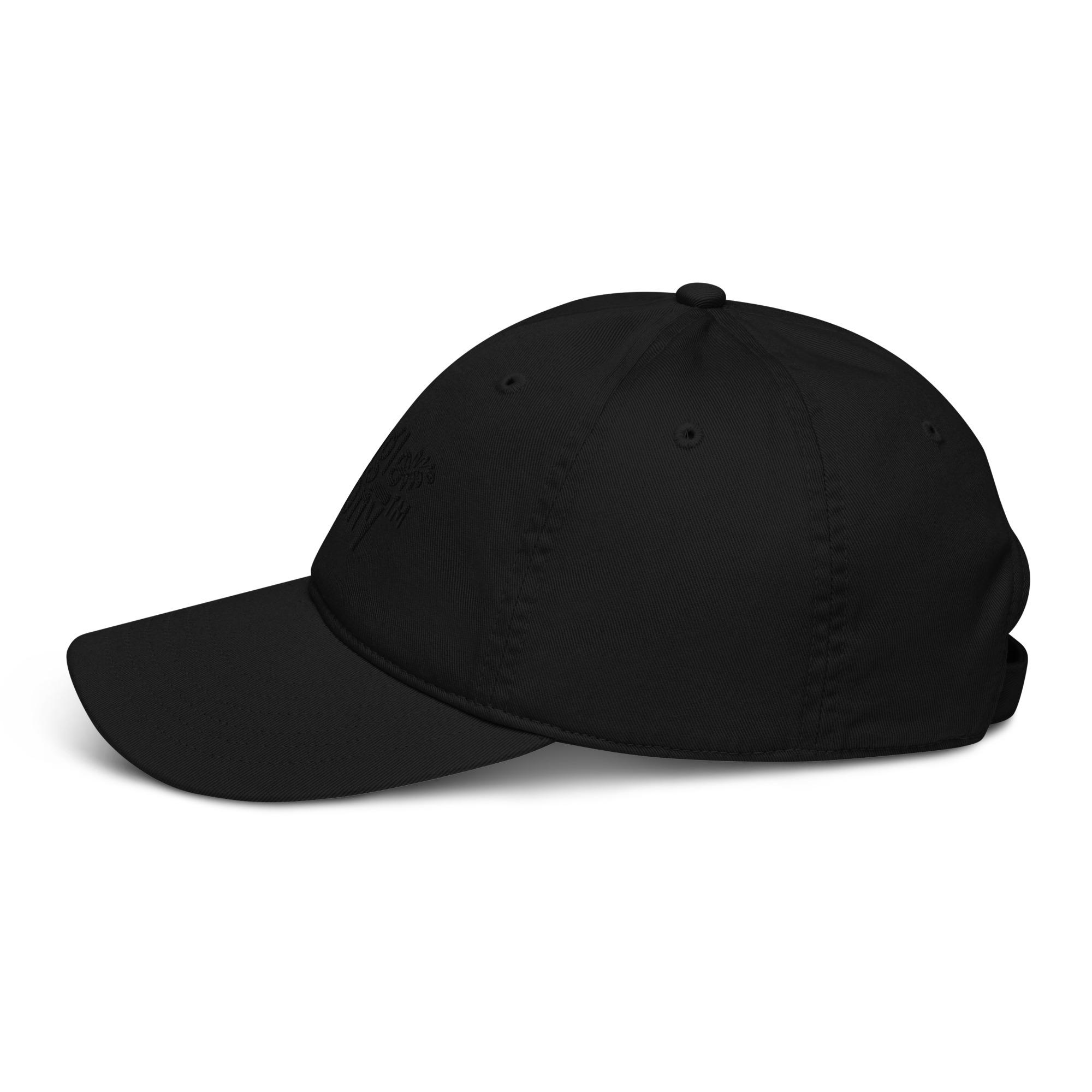organic-baseball-cap-black-left-641c752d22d79.jpg
