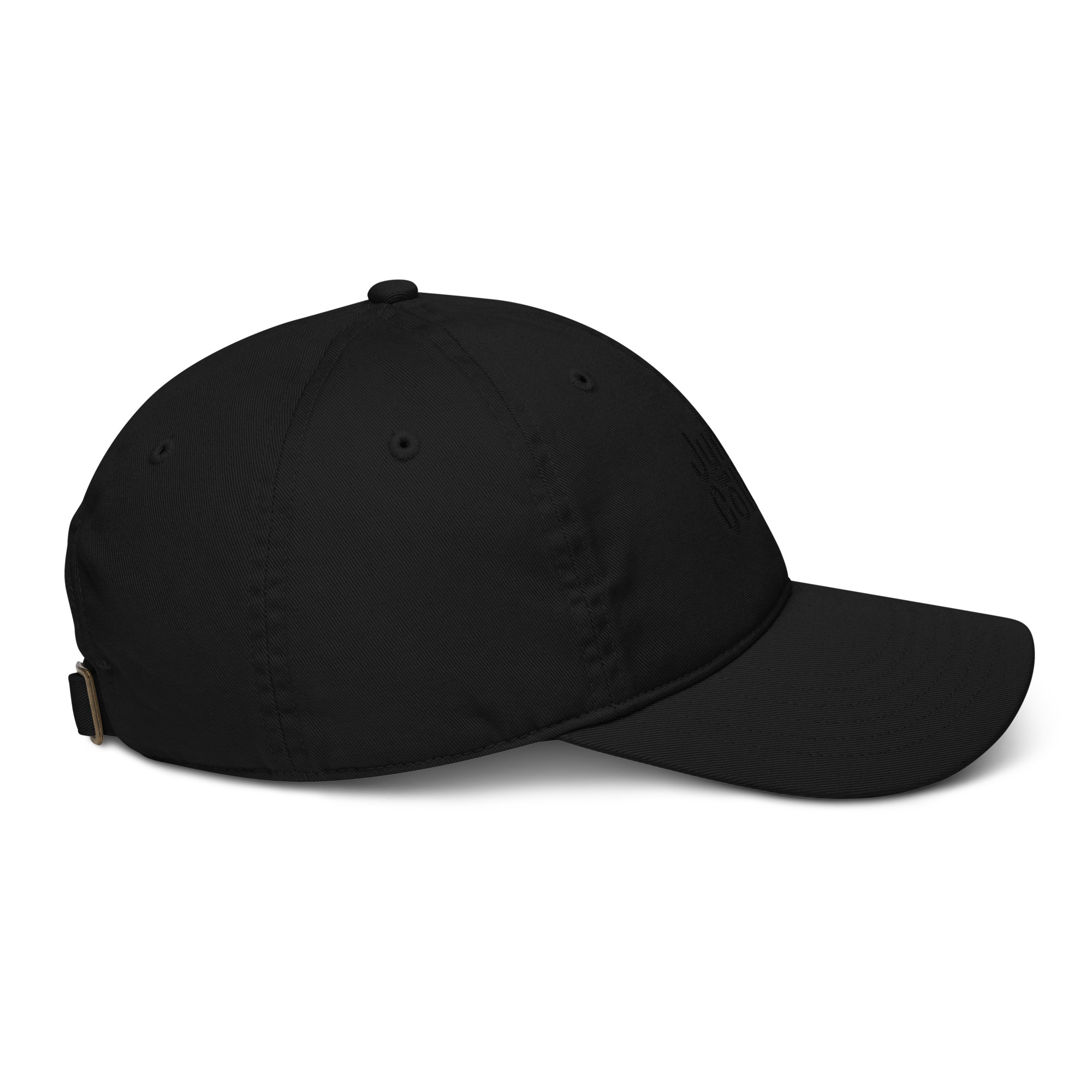 organic-baseball-cap-black-right-641c752d22f0f.jpg
