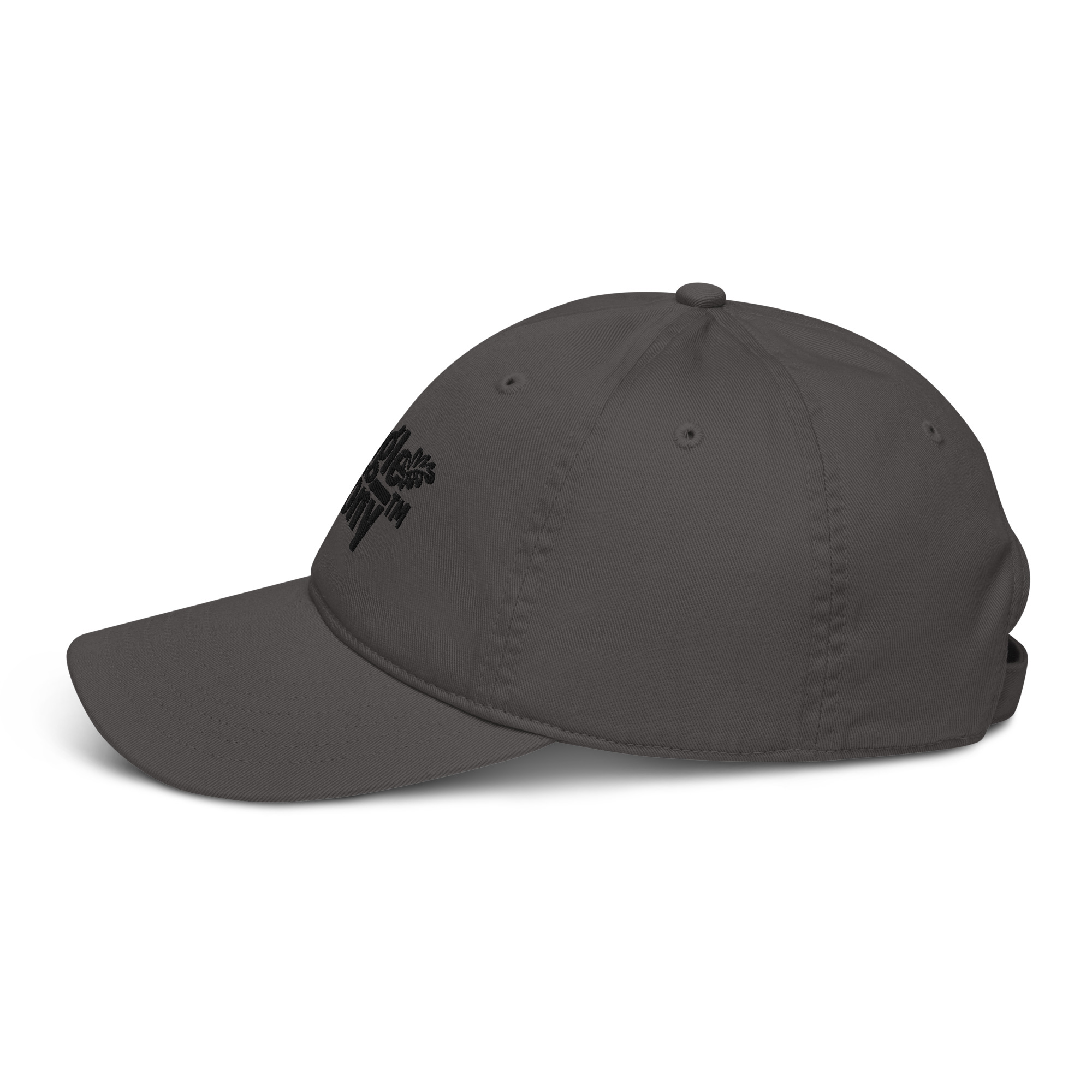 organic-baseball-cap-charcoal-left-641c752d23760.jpg