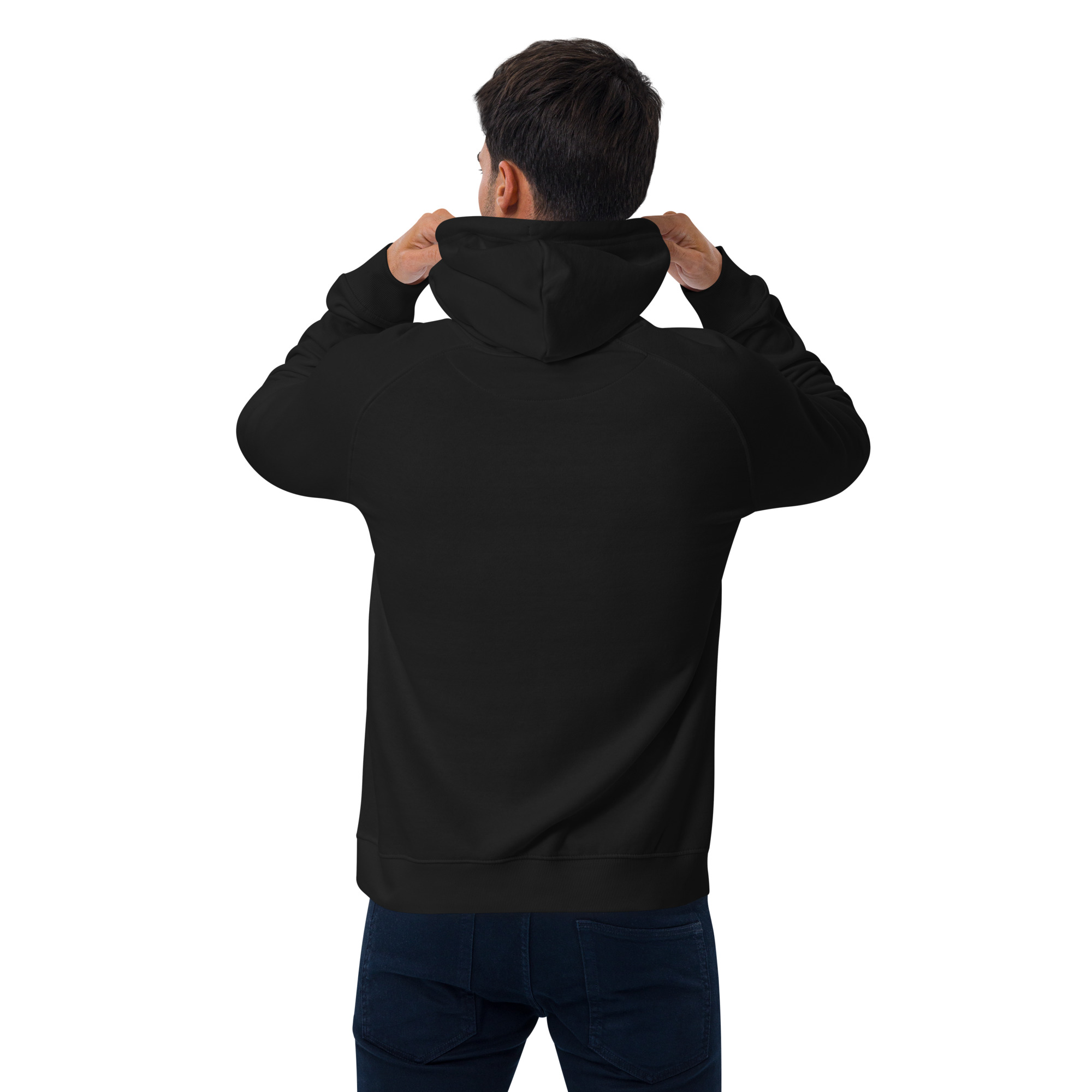 unisex-eco-raglan-hoodie-black-back-6420086c868fb.jpg