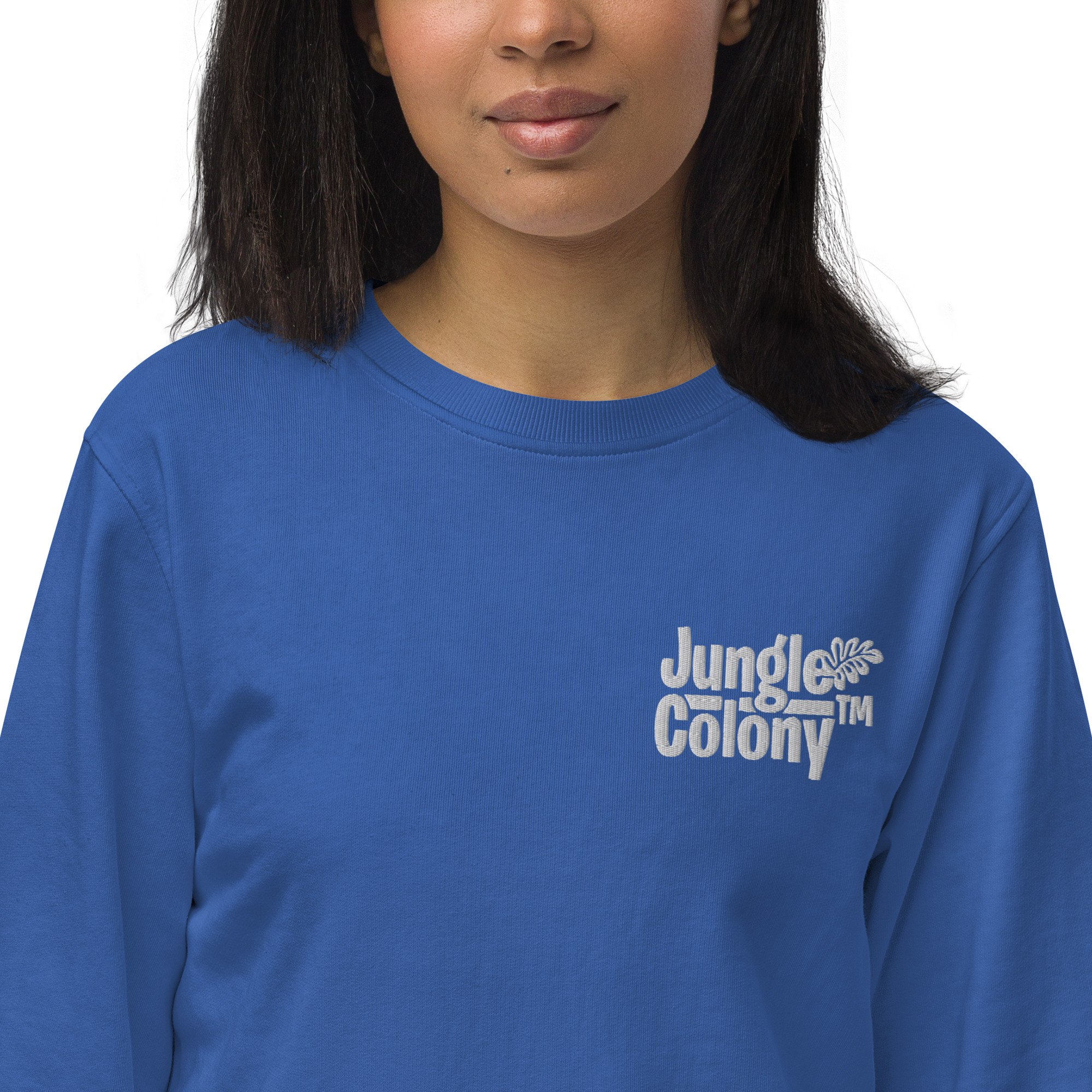 unisex-organic-sweatshirt-royal-blue-zoomed-in-64200a7837678.jpg